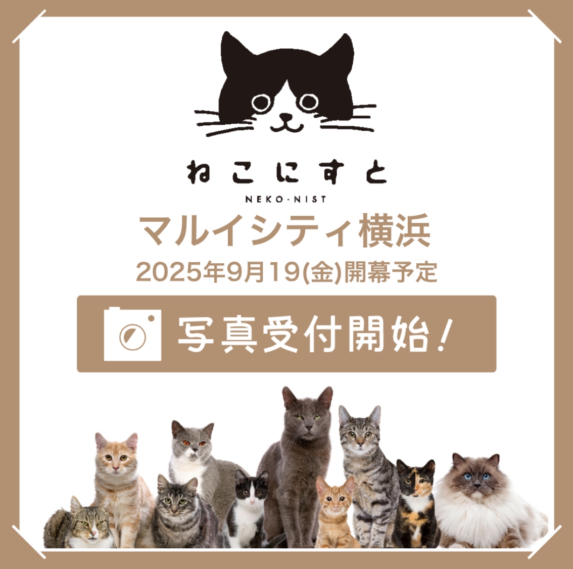 ネコバス。この方以外キャンセルいたします。ご了承ください。 楽天市場】自動 ネコトイレ 【 Cat'sEgg Ver.3 ホワイト